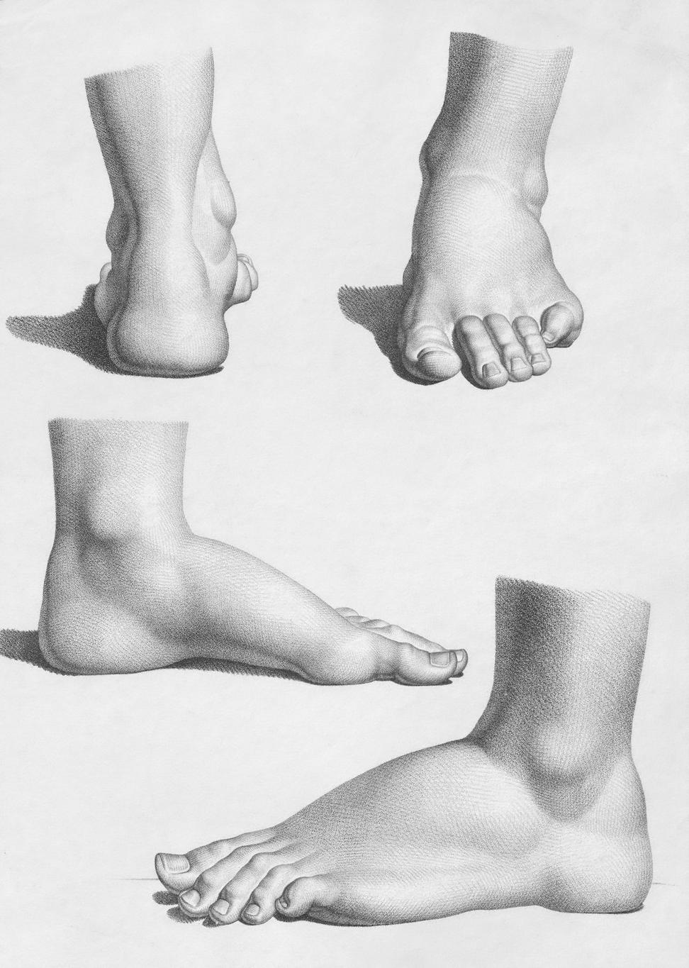Functional Movement Assessment